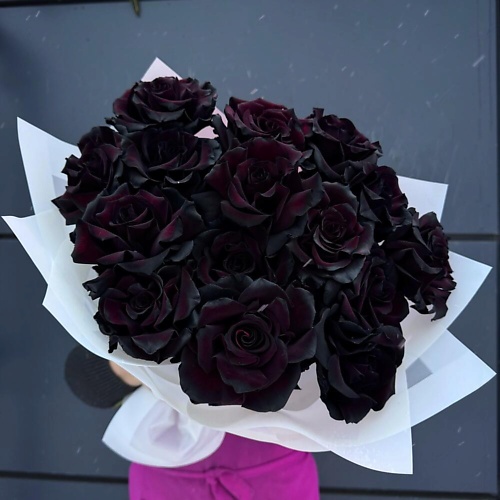 

ДАРИ ЦВЕТЫ Букет из 15 чёрных французских роз, Букет из 15 чёрных французских роз