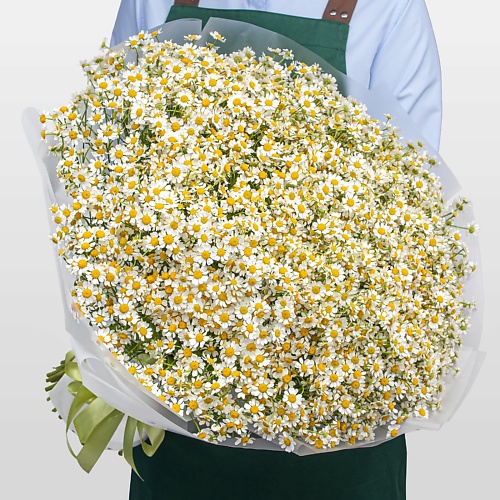 STUDIO FLORISTIC Букет из 75 Ромашек Теплый день 15099₽