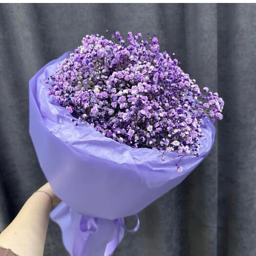 

ДАРИ ЦВЕТЫ Букет гипсофилы фиолетовый, Букет гипсофилы фиолетовый