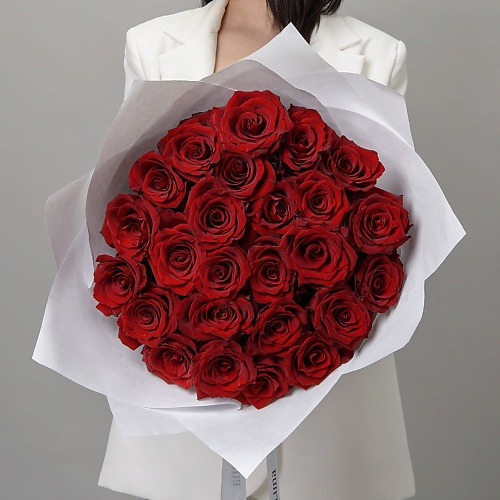 

ROSA DI LUNA Моно Букет из 25 Роз Эксплорер, Эквадор в Белой Упаковке, Моно Букет из 25 Роз Эксплорер, Эквадор в Белой Упаковке