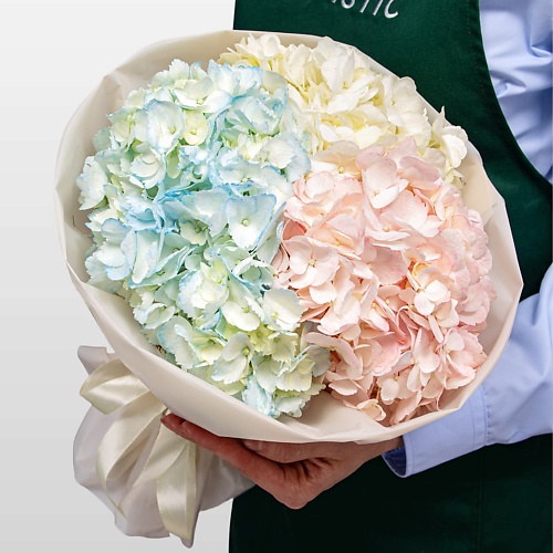 

STUDIO FLORISTIC Букет из разноцветных Гортензий «Акварельный микс», Букет из разноцветных Гортензий «Акварельный микс»