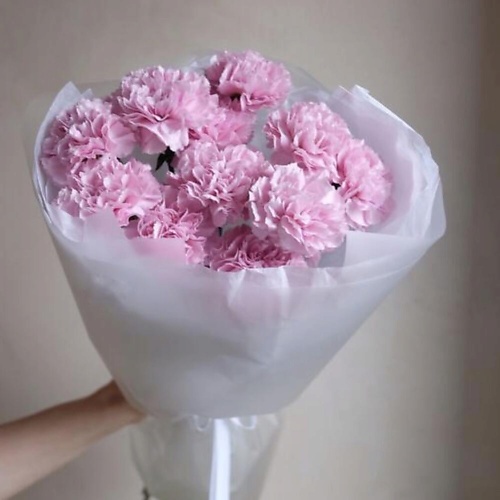 

ДАРИ ЦВЕТЫ Букет из 11 розовых гвоздик, Букет из 11 розовых гвоздик