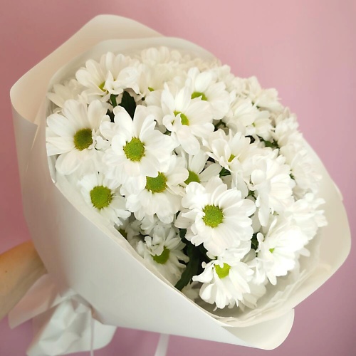

ДАРИ ЦВЕТЫ Букет из 5 ромашковых хризантем в белой упаковке, Букет из 5 ромашковых хризантем в белой упаковке