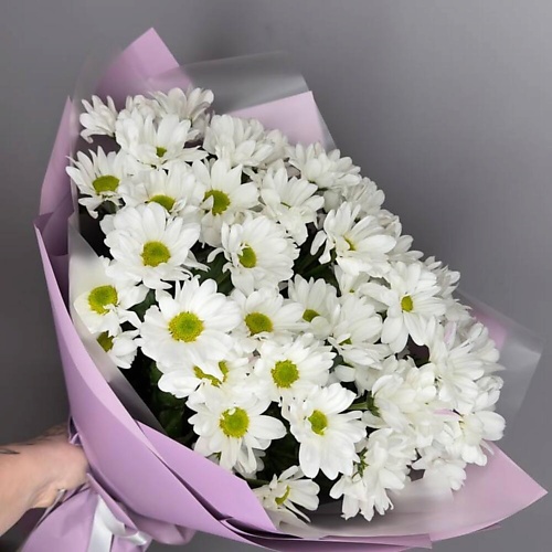 

ДАРИ ЦВЕТЫ Букет из кустовых хризантем, Букет из кустовых хризантем