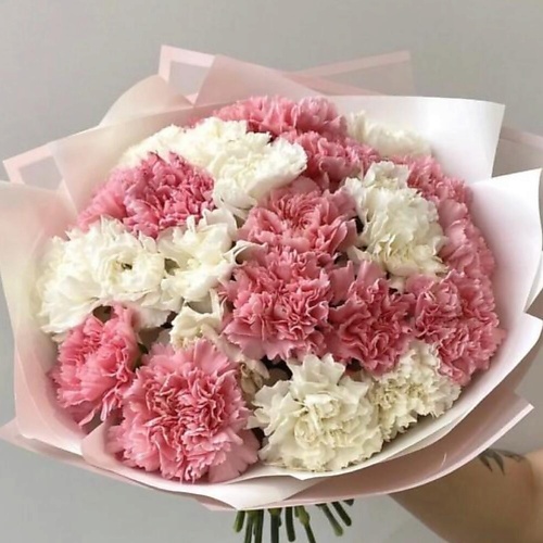 

ДАРИ ЦВЕТЫ Букет из 25 нежных гвоздик, Букет из 25 нежных гвоздик