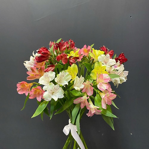

ДАРИ ЦВЕТЫ Букет из альстромерии, Букет из альстромерии
