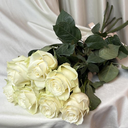 

ДАРИ ЦВЕТЫ 7 белых роз эквадор, 7 белых роз эквадор