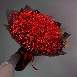 Букет из красной гипсофилы