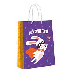 Пакет подарочный Мой Супергерой