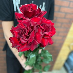 3 красные французские розы