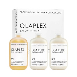 Набор для окрашенных или химически обработанных волос Salon Intro Kit