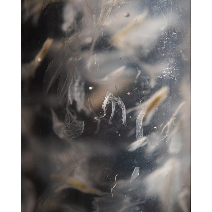 PAYOT Увлажняющая эссенция Source – фото 5