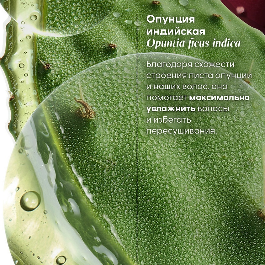 KLORANE Маска для волос увлажняющая с опунцией 72h Hydration & Shine Plumping Mask – фото 8