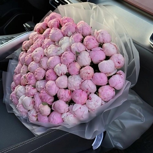 

DIVAFLORA СЕТЬ МАГАЗИНОВ СТИЛЬНЫХ БУКЕТОВ Пионы букет 75шт «Love me», Пионы букет 75шт «Love me»