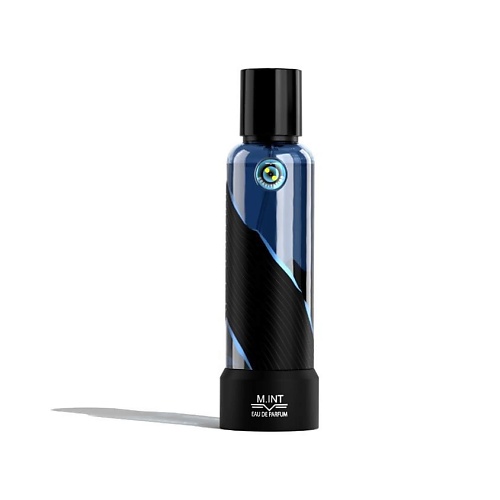 

M.INT Gravitation 75, Gravitation