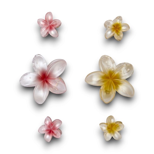 

ZIKOLKI STORE Заколка крабик аксессуар для волос цветок подарочный набор крабов, Заколка крабик аксессуар для волос цветок подарочный набор крабов