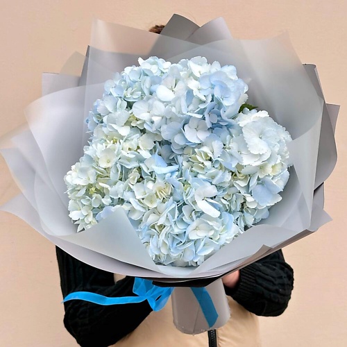 

DIVAFLORA СЕТЬ МАГАЗИНОВ СТИЛЬНЫХ БУКЕТОВ Гортензии синие букет 5 шт «Лазурит», Гортензии синие букет 5 шт «Лазурит»