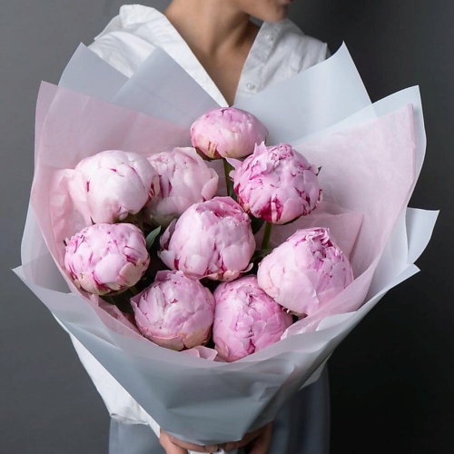 

DIVAFLORA СЕТЬ МАГАЗИНОВ СТИЛЬНЫХ БУКЕТОВ Пионы букет 9шт «Сара Бернар», Пионы букет 9шт «Сара Бернар»