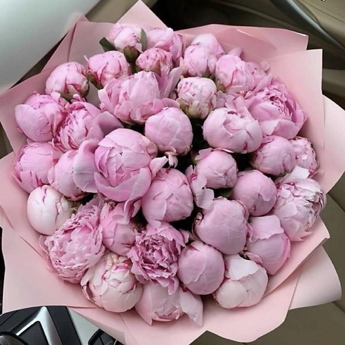 DIVAFLORA СЕТЬ МАГАЗИНОВ СТИЛЬНЫХ БУКЕТОВ Пионы сара бернар 45 шт Летний Фреш 27980₽