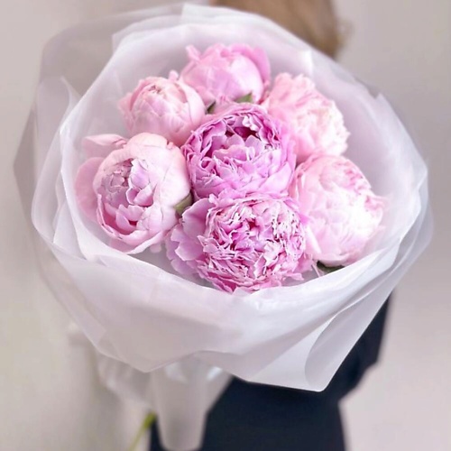 

DIVAFLORA СЕТЬ МАГАЗИНОВ СТИЛЬНЫХ БУКЕТОВ Пионы букет 7 шт «Сара Бернар», Пионы букет 7 шт «Сара Бернар»