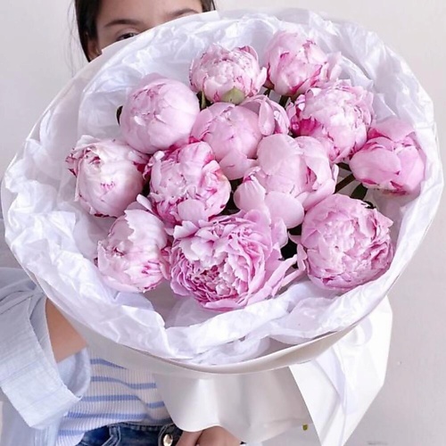 

DIVAFLORA СЕТЬ МАГАЗИНОВ СТИЛЬНЫХ БУКЕТОВ Пионы букет 13шт «Комплимент», Пионы букет 13шт «Комплимент»