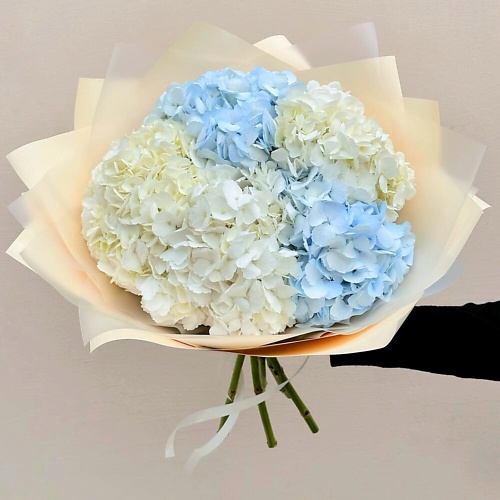 

DIVAFLORA СЕТЬ МАГАЗИНОВ СТИЛЬНЫХ БУКЕТОВ Гортензия букет микс «Сапфир», Гортензия букет микс «Сапфир»