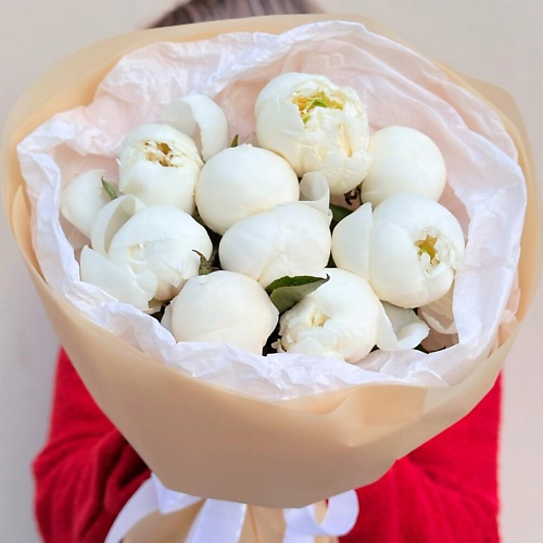 

DIVAFLORA СЕТЬ МАГАЗИНОВ СТИЛЬНЫХ БУКЕТОВ Пионы букет 9 шт «Притяжение», Пионы букет 9 шт «Притяжение»