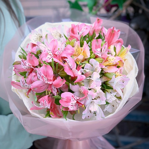 

ЦВЕТО-ЛЕТТО Нежная альстромерия, Нежная альстромерия