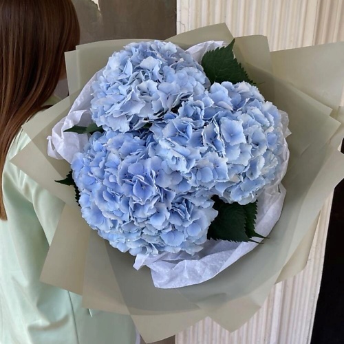 

DIVAFLORA СЕТЬ МАГАЗИНОВ СТИЛЬНЫХ БУКЕТОВ Гортензии синие букет «Симфония трех», Гортензии синие букет «Симфония трех»