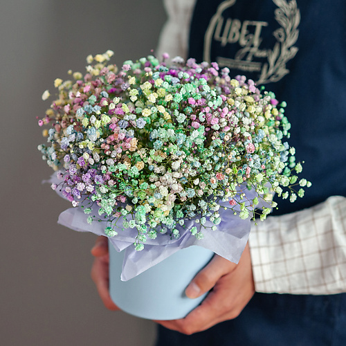 

ЦВЕТНИК ЦВЕТЫ И ПОДАРКИ Цветная гипсофила в шляпной коробке размер S, Цветная гипсофила в шляпной коробке размер S