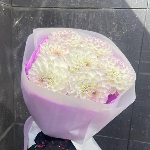 

DIVAFLORA СЕТЬ МАГАЗИНОВ СТИЛЬНЫХ БУКЕТОВ Георгины букет из 7 ароматных георгин, Георгины букет из 7 ароматных георгин