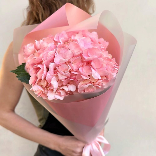 

DIVAFLORA СЕТЬ МАГАЗИНОВ СТИЛЬНЫХ БУКЕТОВ Гортензия розовая «Нежные чувства», Гортензия розовая «Нежные чувства»