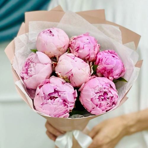 

DIVAFLORA СЕТЬ МАГАЗИНОВ СТИЛЬНЫХ БУКЕТОВ Пионы фуксия 7 шт «Букет нежный», Пионы фуксия 7 шт «Букет нежный»