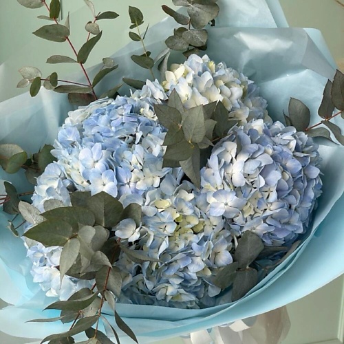 

DIVAFLORA СЕТЬ МАГАЗИНОВ СТИЛЬНЫХ БУКЕТОВ Гортензии синие букет с эвкалиптом «Чарующий взгляд», Гортензии синие букет с эвкалиптом «Чарующий взгляд»
