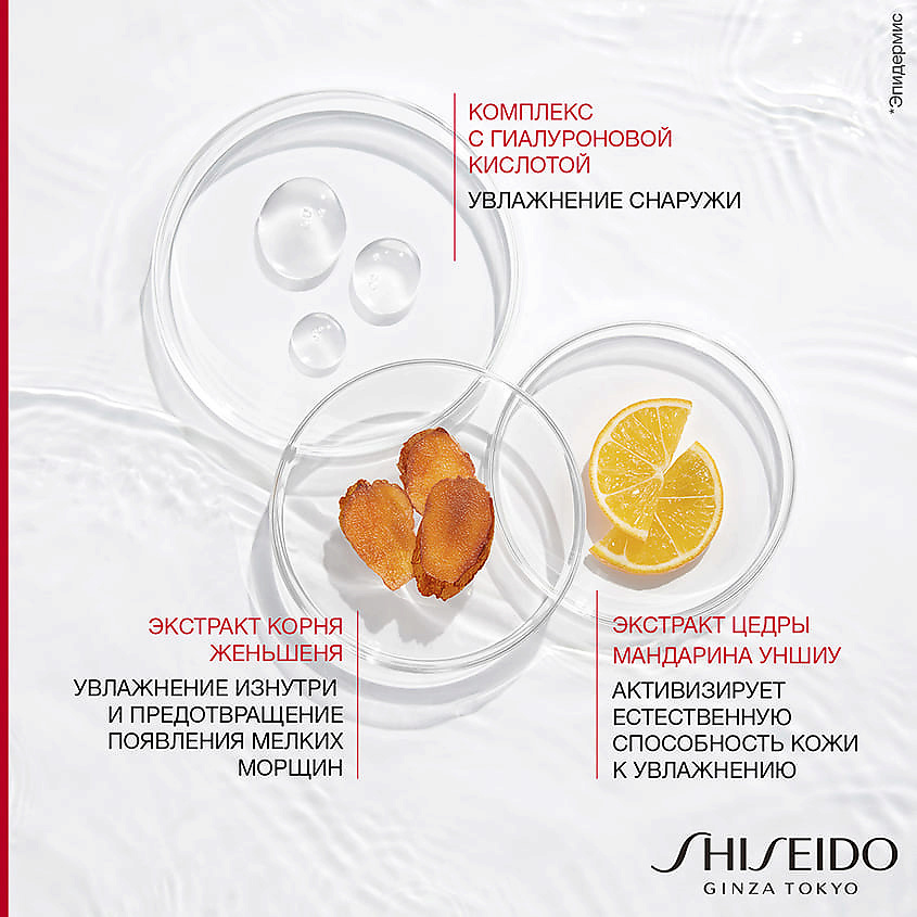 SHISEIDO Увлажняющий дневной крем SPF 20 Essential Energy – фото 6