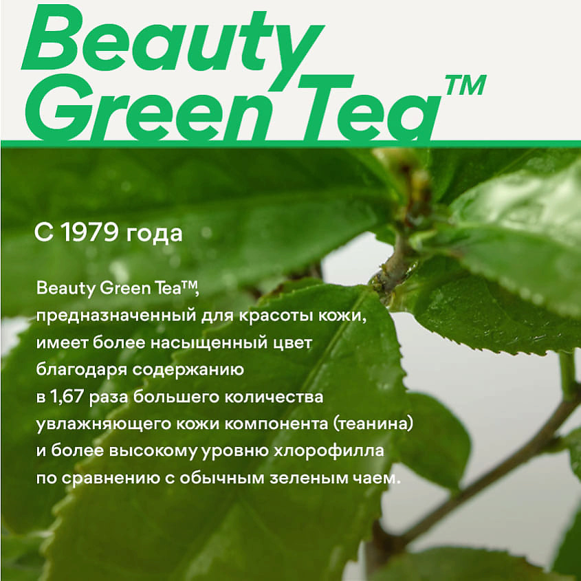 INNISFREE Увлажняющий тонер с экстрактом зеленого чая и гиалуроновой кислотой для сияния кожи Green Tea – фото 5