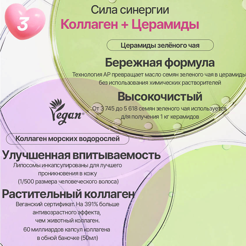 INNISFREE Укрепляющий крем с коллагеном и церамидами зелёного чая для упругости кожи Collagen – фото 4