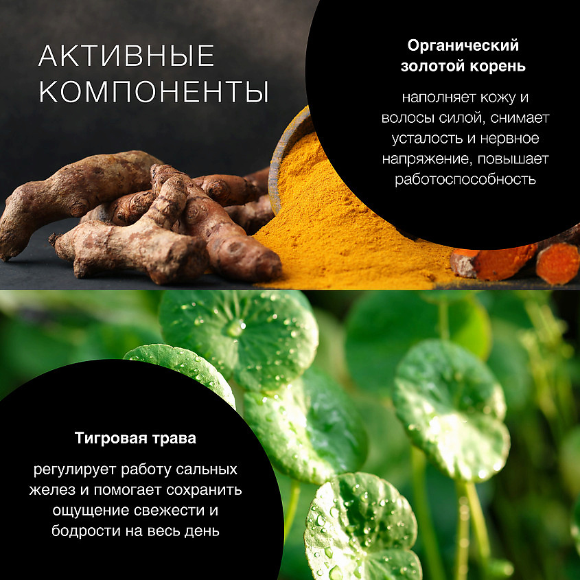 NATURA SIBERICA Шампунь-гель 3 в 1 для волос, бороды и тела Sauna & Sport for Men – фото 5