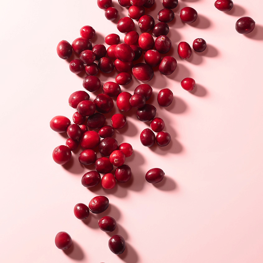 DOLCE&GABBANA L'Imperatrice Royale – фото 5