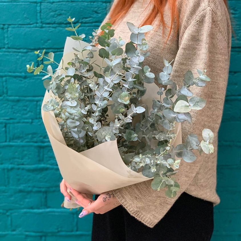 Изображение товара Букет из 5 веток эвкалипта Цветы Мишки свежие для подарка и украшения