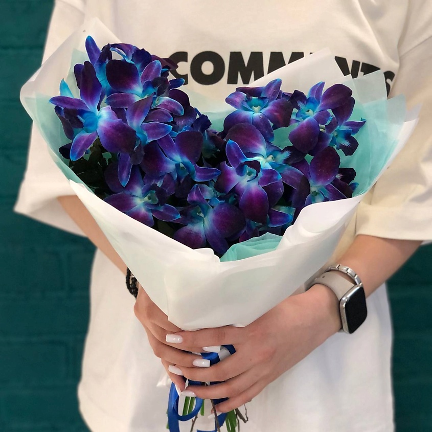 Изображение товара ЦВЕТЫ МИШКИ Букет из 13 синих орхидей (дендробиума), 1 шт.