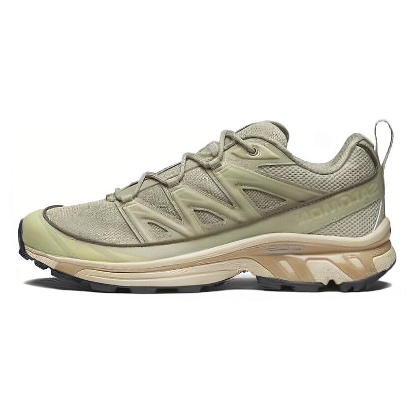 Изображение товара Кроссовки SALOMON XT-6 Expanse Alfalfa мужские мультиколор размеры 43 1/3
