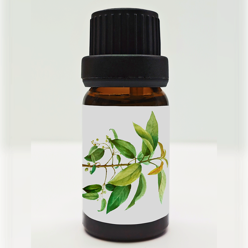 Изображение товара Эфирное масло Чайного дерева AIRISLON 10 мл натуральное антибактериальное и иммуностимулирующее сре