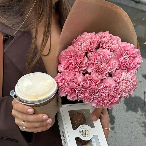 

МНОГО ЦВЕТОВ ЦВЕТОЧНЫЙ МАГАЗИН Кулек комплимент из розовых диантусов, Кулек комплимент из розовых диантусов