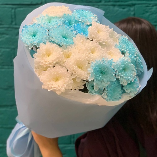 

ЦВЕТЫ МИШКИ Букет из 7 голубо-белых кустовых хризантем, Букет из 7 голубо-белых кустовых хризантем