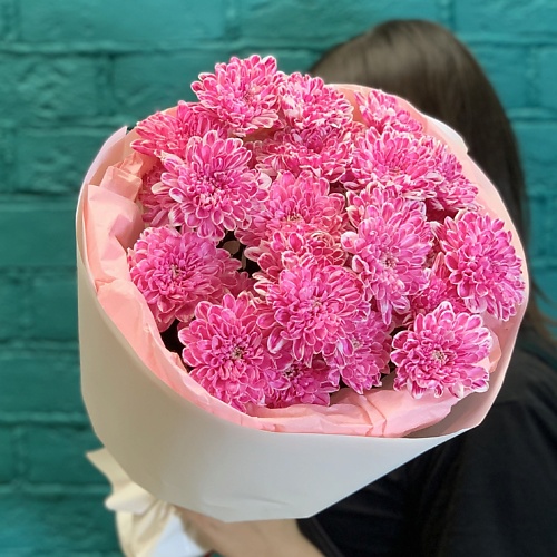 

ЦВЕТЫ МИШКИ Букет из 5 малиновых хризантем, Букет из 5 малиновых хризантем