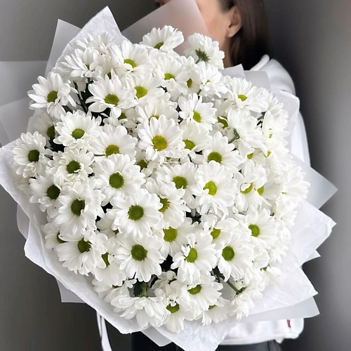 

FLOWERTVER Ромашковое поле, Ромашковое поле