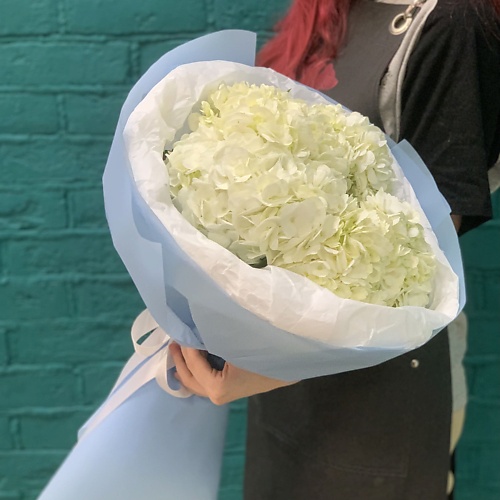 

ЦВЕТЫ МИШКИ Букет из 5 белых гортензий, Букет из 5 белых гортензий