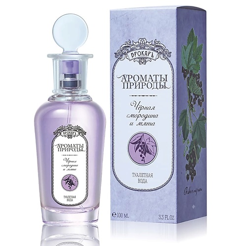 БРОКАРЪ Ароматы природы ЧЁРНАЯ СМОРОДИНА И МЯТА 100 625₽