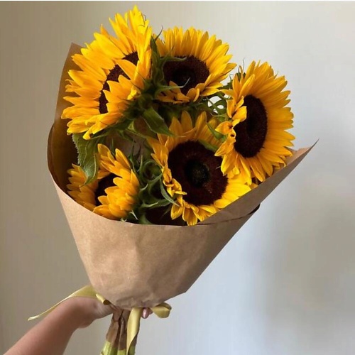 

МНОГО ЦВЕТОВ ЦВЕТОЧНЫЙ МАГАЗИН Монобукет из 5 подсолнухов, Монобукет из 5 подсолнухов